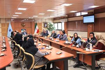 طرح تدوین گزینه های سیاستی حوزه توانبخشی مربوط به افراد دارای ناتوانی جسمی